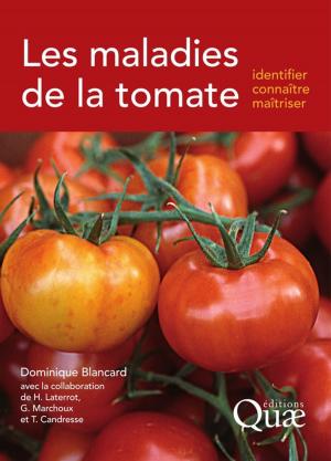 Cover of the book Les maladies de la tomate by Michel Claessens