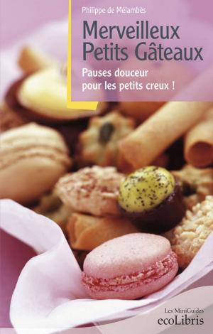 Cover of the book Merveilleux petits gâteaux by Damien Galtier