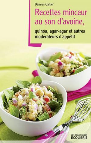 Cover of the book Recettes minceur au son d'avoine, Agar agar et autres modérateurs d'appétit by Damien Galtier