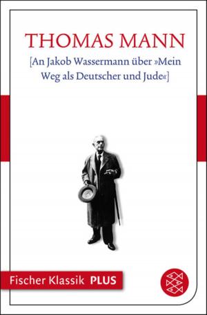 Book cover of An Jakob Wassermann über "Mein Weg als Deutscher und Jude"