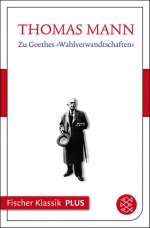 Book cover of Zu Goethes "Wahlverwandtschaften"