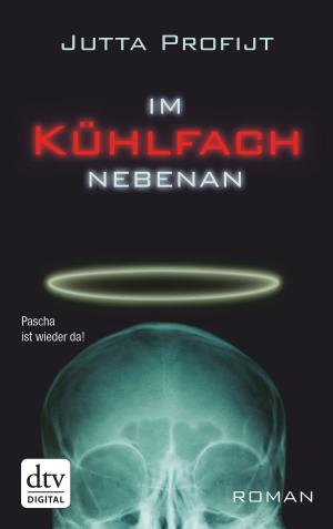 Cover of the book Im Kühlfach nebenan by Peter Probst