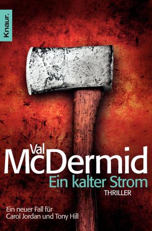 Cover of the book Ein kalter Strom by Val McDermid