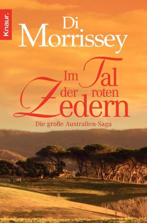 Cover of the book Im Tal der roten Zedern by Sabine Thomas