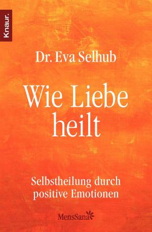 Cover of the book Wie Liebe heilt by Sebastian Fitzek