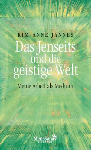 Book cover of Das Jenseits und die geistige Welt