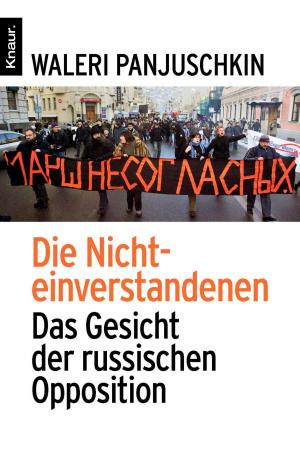Cover of the book Die Nichteinverstandenen by Verena Wermuth