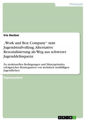 Cover of the book 'Work and Box Company' statt Jugendstrafvollzug. Alternative Resozialisierung als Weg aus schwerer Jugenddelinquenz by Christian R. Schwab