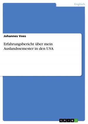 Cover of the book Erfahrungsbericht über mein Auslandssemester in den USA by Nicole Ruge