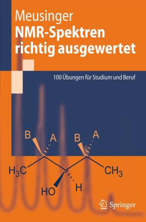 Cover of the book NMR-Spektren richtig ausgewertet by Gennady Andrienko, Natalia Andrienko, Peter Bak, Daniel Keim, Stefan Wrobel