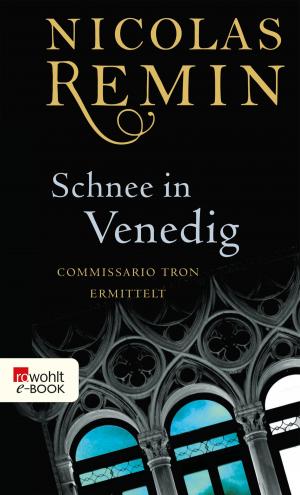 Cover of the book Schnee in Venedig by Vincent Klink