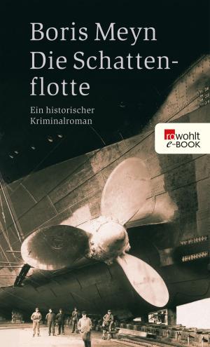 Cover of the book Die Schattenflotte by Jan Seghers