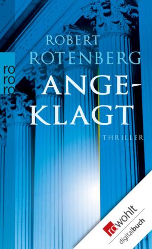 Cover of the book Angeklagt by Petra Hammesfahr