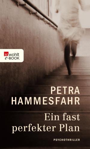 Cover of Ein fast perfekter Plan
