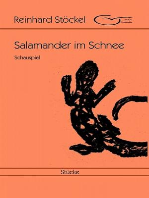 Cover of the book Salamander im Schnee: Schauspiel by Angela Planert