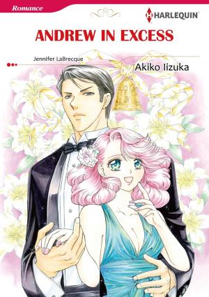 Cover of the book ANDREW IN EXCESS (Harlequin Comics) by Elizabeth Heiter