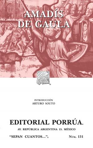 Cover of the book Amadís de Gaula by Mario de la Madrid Andrade