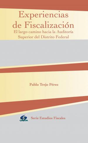 Cover of the book Experiencias de Fiscalización by Marianela Domínguez Cuervo, Yolanda Garro Sandoval