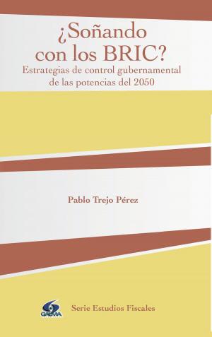 Cover of the book ¿Soñando con los BRIC? by Miranda Locadelamaceta