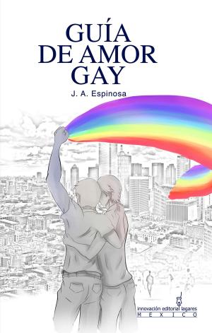 Cover of the book Guía de Amor Gay by Miranda Locadelamaceta