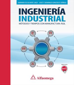Cover of the book INGENIERÍA INDUSTRIAL by Jóse Mauricio Flores Castillo
