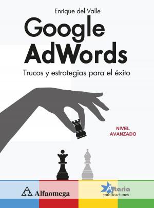 Cover of the book Google AdWords by David Terán