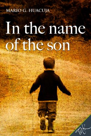 Cover of the book In the name of the son by Krista Walsh