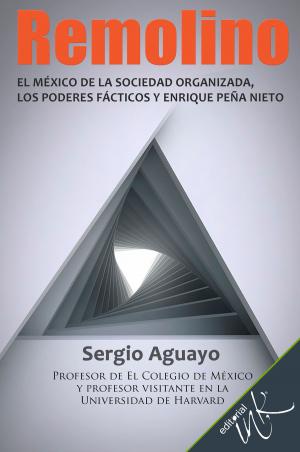 Cover of the book Remolino by Ricardo Chávez Castañeda
