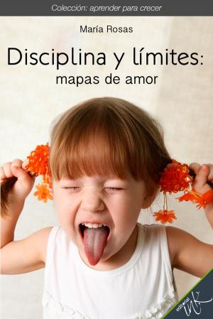 Cover of the book Disciplina y límites mapas de amor by Editorial Ink, Daniel Huacuja R.