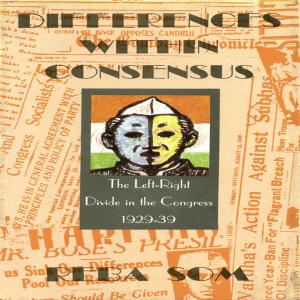 Cover of the book Differences Within Consensus by Balmurli Natrajan, Paul Greenough