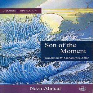 Cover of the book Son of the Moment by Charmayne D’Souza