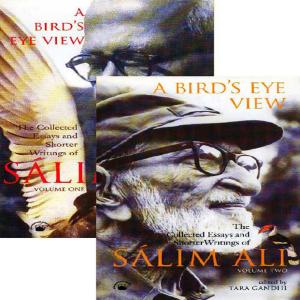 Cover of the book A Bird's Eye View by D.R. Nagaraj