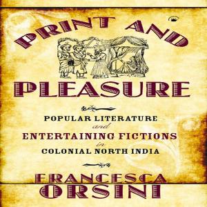 Cover of the book Print and Pleasure by D.R. Nagaraj