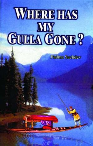 Cover of the book Where Has My Gulla Gone by Albert Einstein