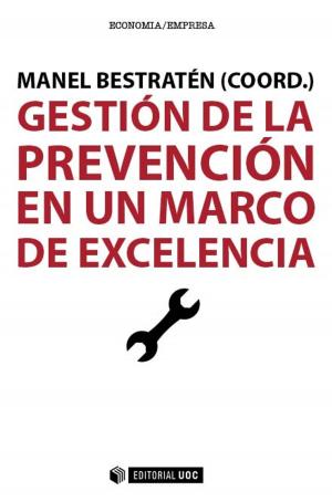 Cover of the book Gestión de la prevención en un marco de excelencia by Anna ForésMiravalles, Marta LigioizVázquez