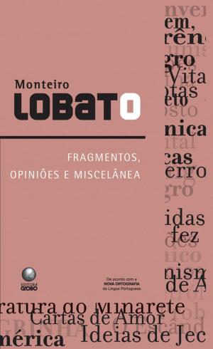 Cover of the book Fragmentos, opiniões e miscelânea by Marco Lucchesi