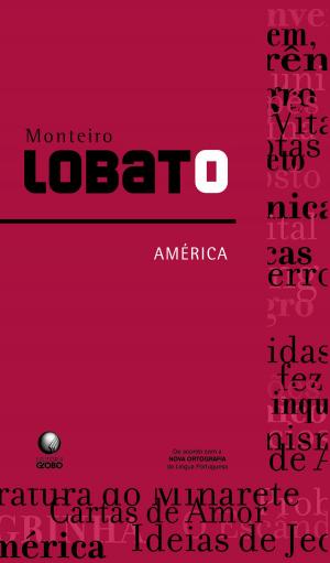 Cover of the book América by Stella Maris Rezende