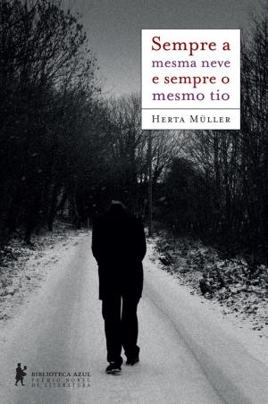 Cover of the book Sempre a mesma neve e sempre o mesmo tio by Alice Munro