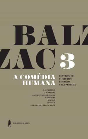 Cover of the book A Comédia Humana - v. 3 (A mensagem, O romeiral, A mulher abandonada, Honorina, Beatriz, Gobseck, A mulher de trinta anos) by Monteiro Lobato