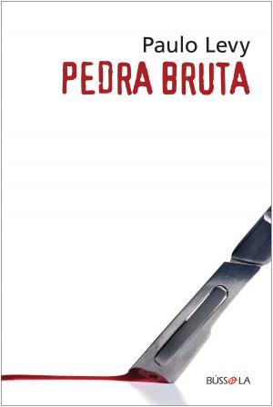 Book cover of Pedra bruta