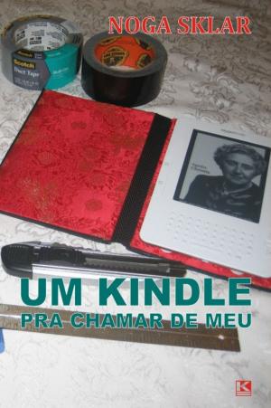Cover of the book Um Kindle pra chamar de meu by David McRobbie