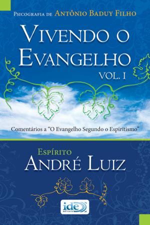 Cover of the book Vivendo o Evangelho by André Luiz Ruiz, Espírito Lucius