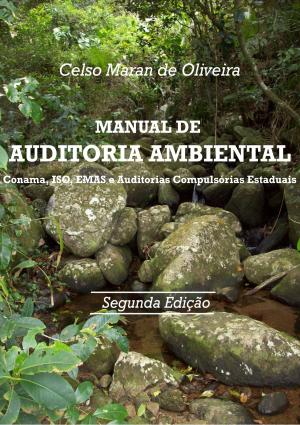 Cover of the book MANUAL DE AUDITORIA AMBIENTAL by Christian Flick, Mathias Weber