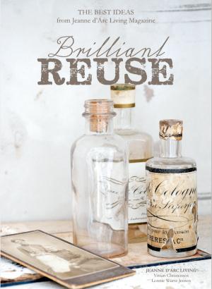 Cover of the book Brilliant Reuse by Carlos Batista