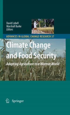 Cover of the book Climate Change and Food Security by P. Jungers, J.J. Zingraff, Nguyen-Khoa Man, T. Drüeke