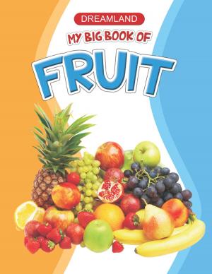 Cover of the book My Big Book of Fruit by Florence Cochet
