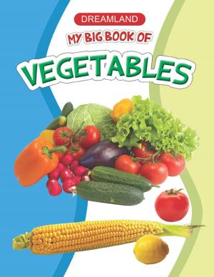 Cover of the book My Big Book of Vegetables by Aude Vidal-Lessard