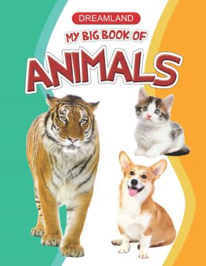Cover of the book My Big Book of Animals by Anuj Chawla