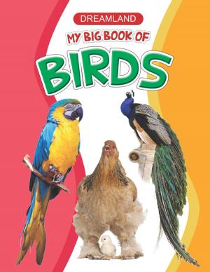 Book cover of My Big Book of Birds