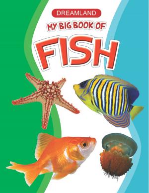 Cover of the book My Big Book of Fish by Ann Aguirre